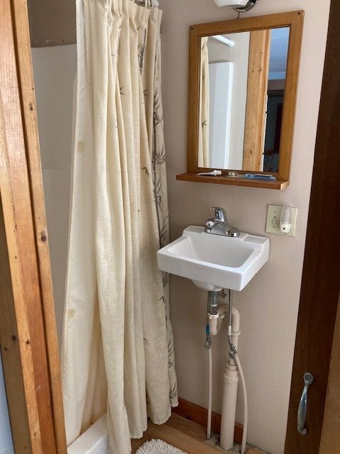 Bathroom sink and shower